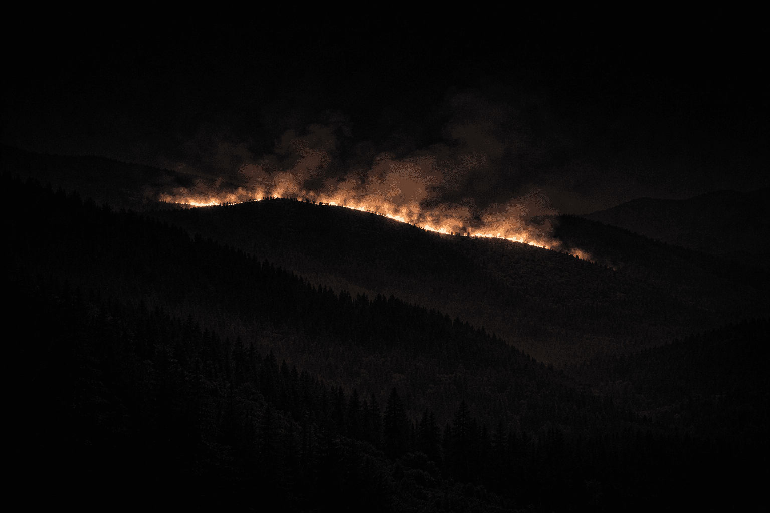Wildfire Response